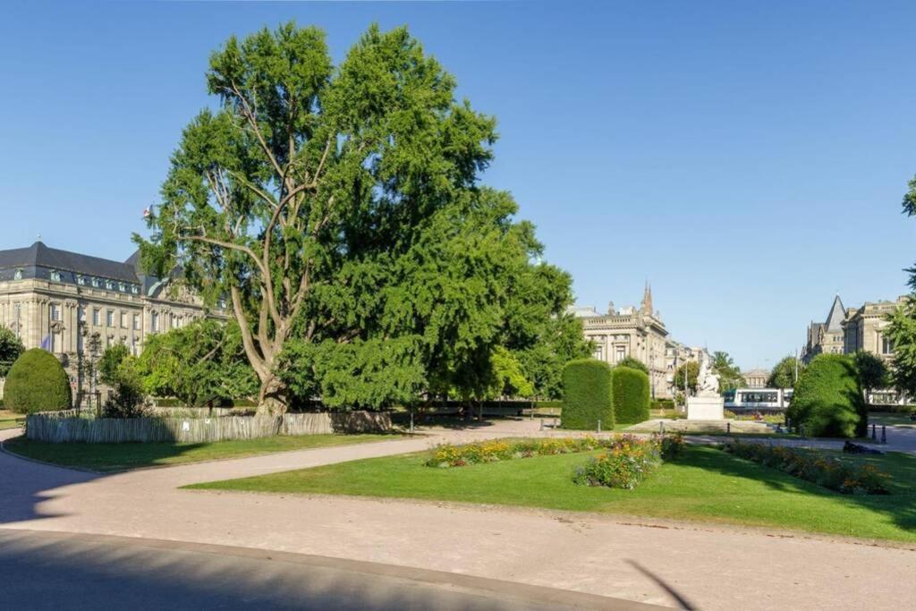Magnifique Appartement Au Coeur De La Petite France Strasbourg Kültér fotó
